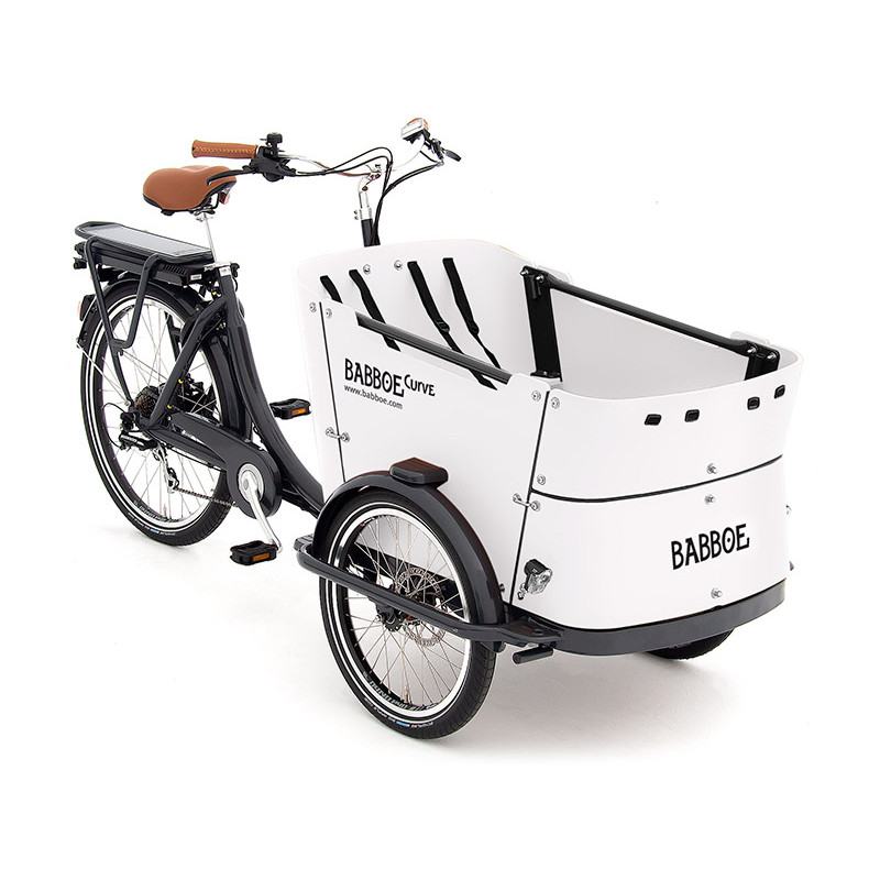 Електровелосипед триколісний Babboe Curve-E Disc 26" 250W 450Wh (2024)