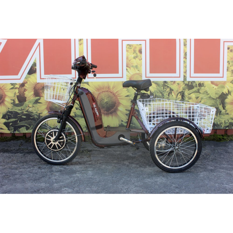 Електровелосипед триколісний SKYMOTO BIG HAPPY 350W 48V 10Ah - Зображення 5
