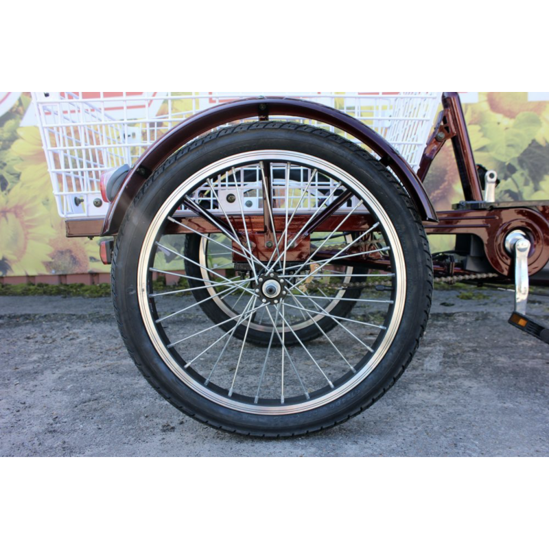 Електровелосипед триколісний SKYMOTO BIG HAPPY 350W 48V 10Ah - Зображення 4