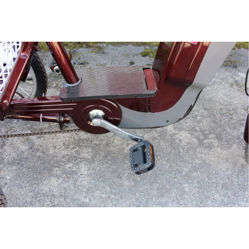 Електровелосипед триколісний SKYMOTO BIG HAPPY 350W 48V 10Ah - Зображення 3