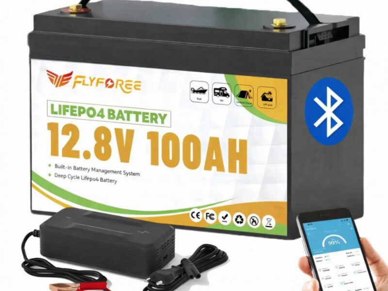 LiFePO4 100Ah 12V 1280Wh Акумулятор FLYFOREE з Bluetooth та BMS для систем резервного та автономного живлення будинку