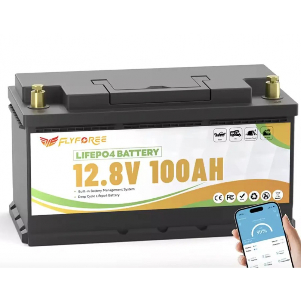 LiFePO4 100Ah 12V 1280Wh Акумулятор FLYFOREE з Bluetooth та BMS для систем резервного та автономного живлення будинку - Зображення 4