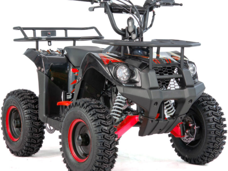 Квадроцикл XTR M9 50см3